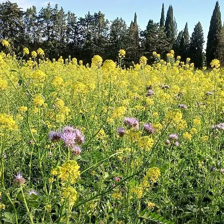 Mas De L'amarine - Entre Camargue Et Provence